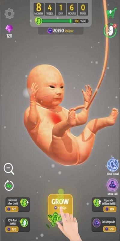 怀胎九月(9 Months)